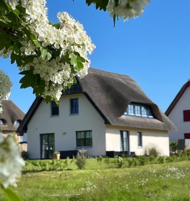 Stilvolles Reetdachhaus Coastline An Der Ostsee Groß Schwansee Kültér fotó